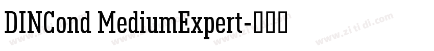 DINCond MediumExpert字体转换